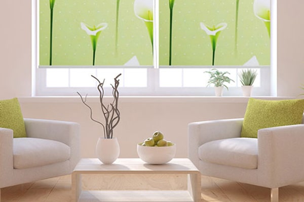 Rèm cuốn nhựa là gì Rèm cuốn in tranh
